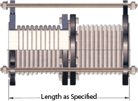 Tandem Expansion Joint